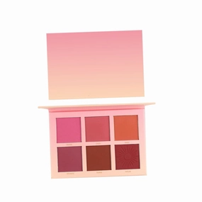 Cheek Blush Natural Blush Makeup Kit for Women Girls Soft and Pigmented 6 Colors Palette