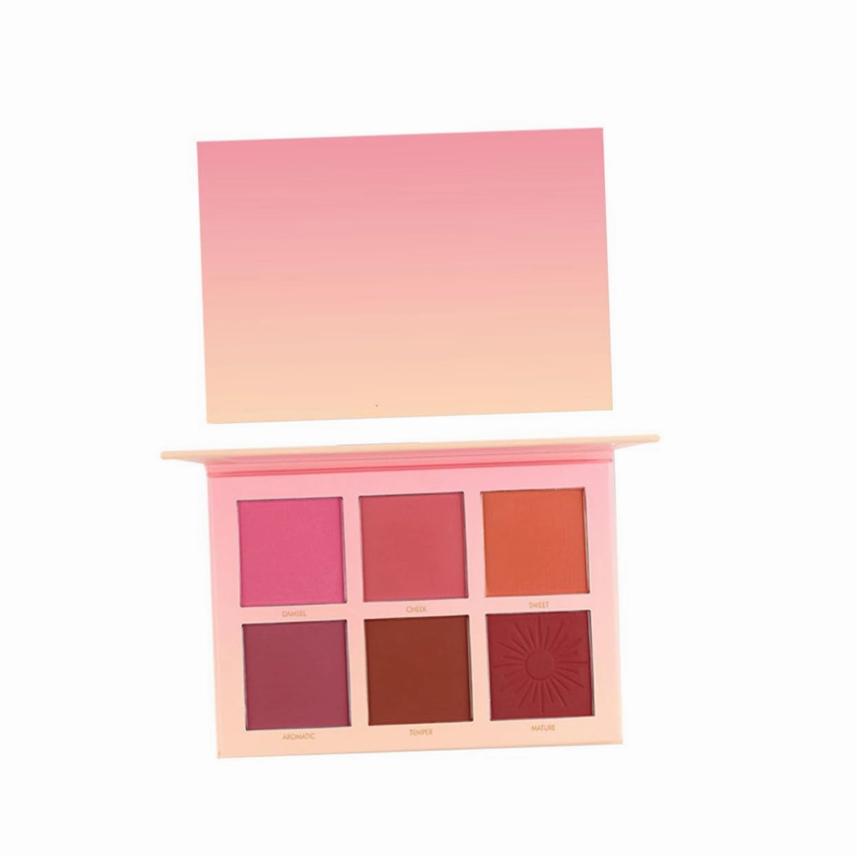 Cheek Blush Natural Blush Makeup Kit for Women Girls Soft and Pigmented 6 Colors Palette