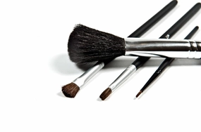 Danyel' Professional Cosmetics Brush Collection