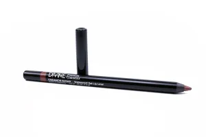 Divine Skin & Cosmetics - Lip Liner Pencil - Waterproof Gel Lip Liner - Kiss Proof, Highly Pigmented Gel Lip Liner - Cinnamon Sugar