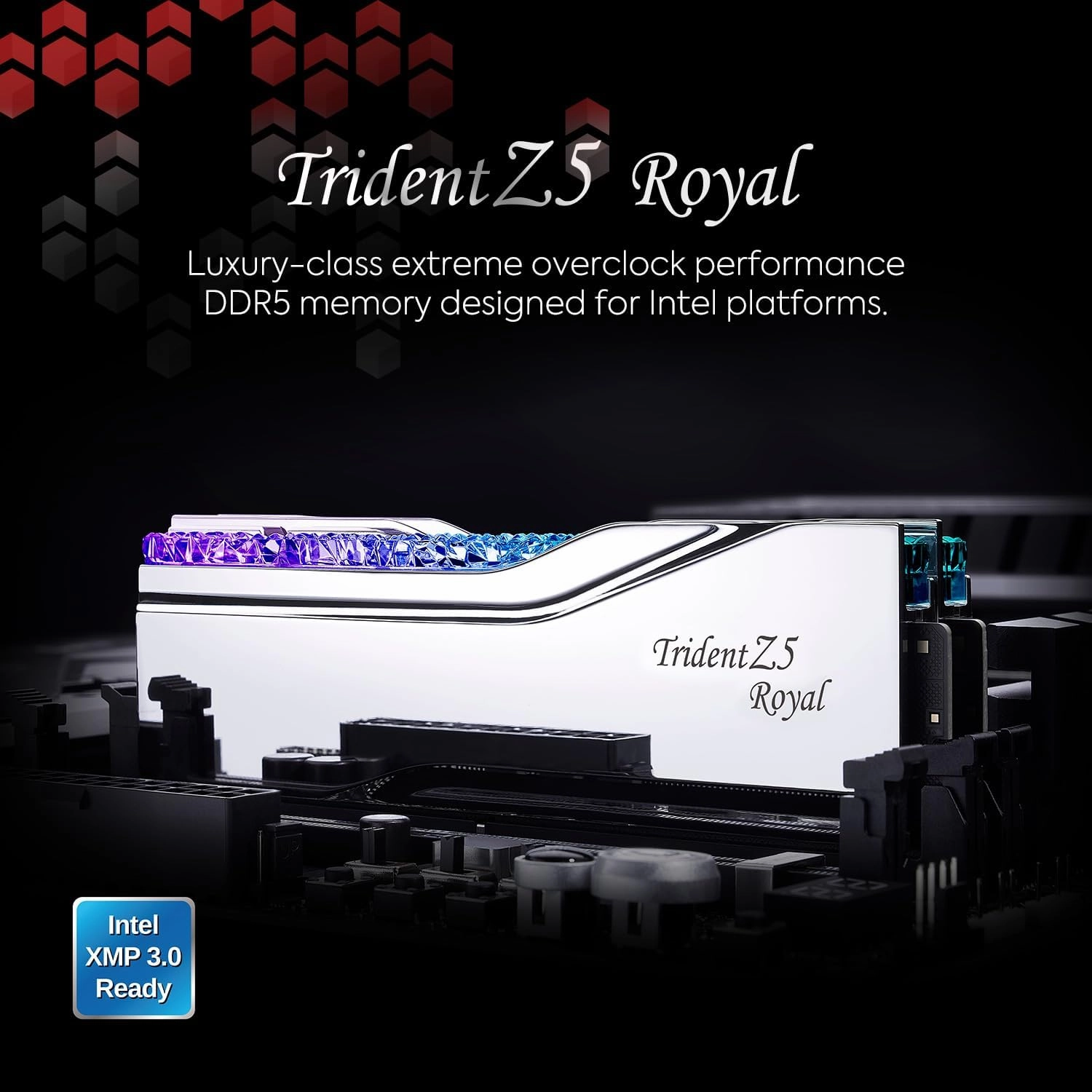 G.SKILL Trident Z5 Royal Series (Intel XMP 3.0) DDR5 RAM 32GB (2x16GB) 6400MT/s CL30-39-39-102 1.40V Desktop Computer Memory UDIMM - Silver (F5-6400J3039G16GX2-TR5S)