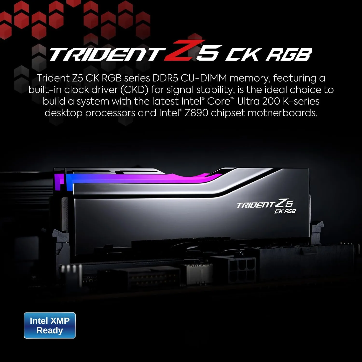 G.SKILL Trident Z5 CK RGB Series (Intel XMP 3.0) DDR5 RAM 48GB (2x24GB) 8400MT/s CL40-52-52-134 1.40V Desktop Computer Memory CUDIMM - Mirror Black (F5-8400C4052G24GX2-TZ5CRK)