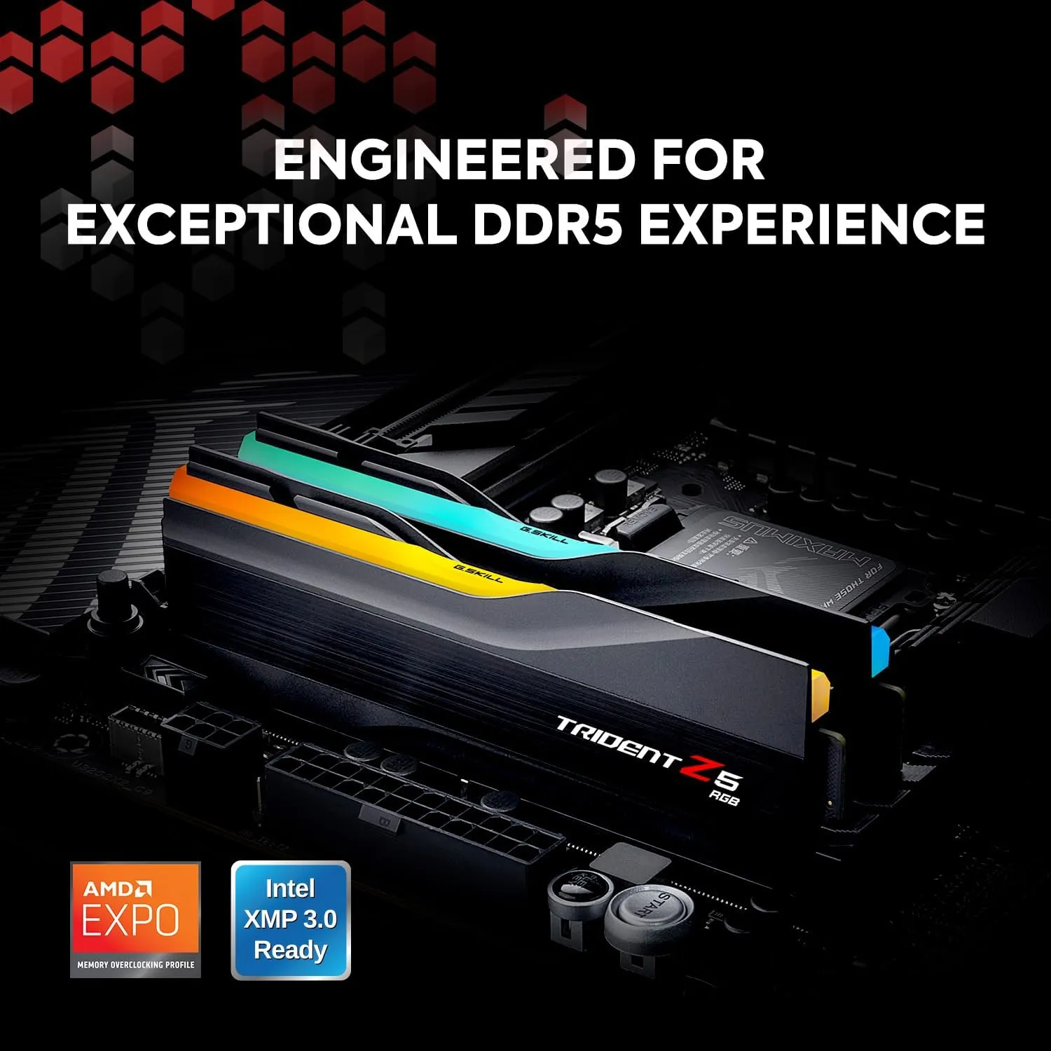 G.SKILL Trident Z5 RGB Series (Intel XMP 3.0 & AMD Expo) DDR5 RAM 32GB (2X 16GB) 6000MT/s CL36-36-36-96 1.35V Desktop Computer Memory U-DIMM - Matte Black (F5-6000J3636F16GA2-TZ5RK)