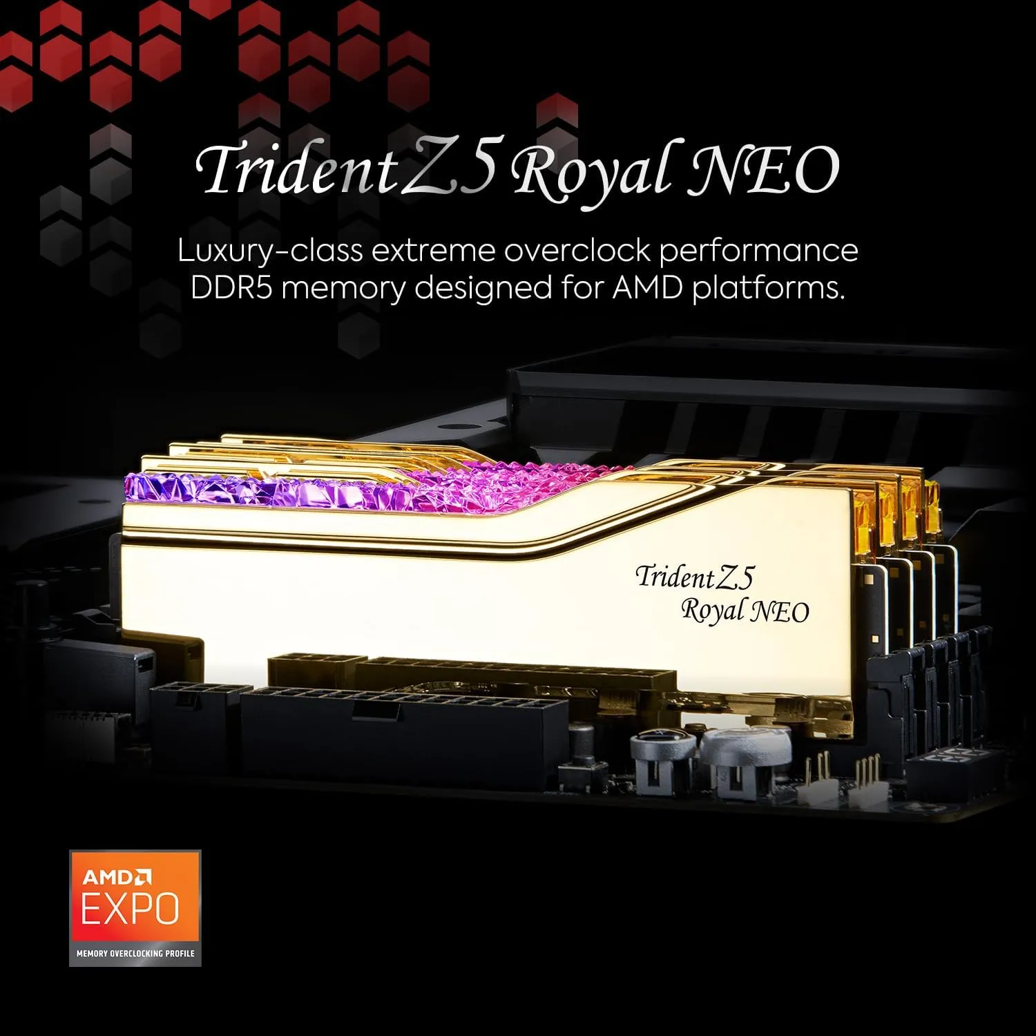 G.SKILL Trident Z5 Royal Neo Series (AMD Expo) DDR5 RAM 96GB (2X 48GB) 6000MT/s CL28-36-36-96 1.35V Desktop Computer Memory U-DIMM - Gold (F5-6000J2836F48GX2-TR5NG)