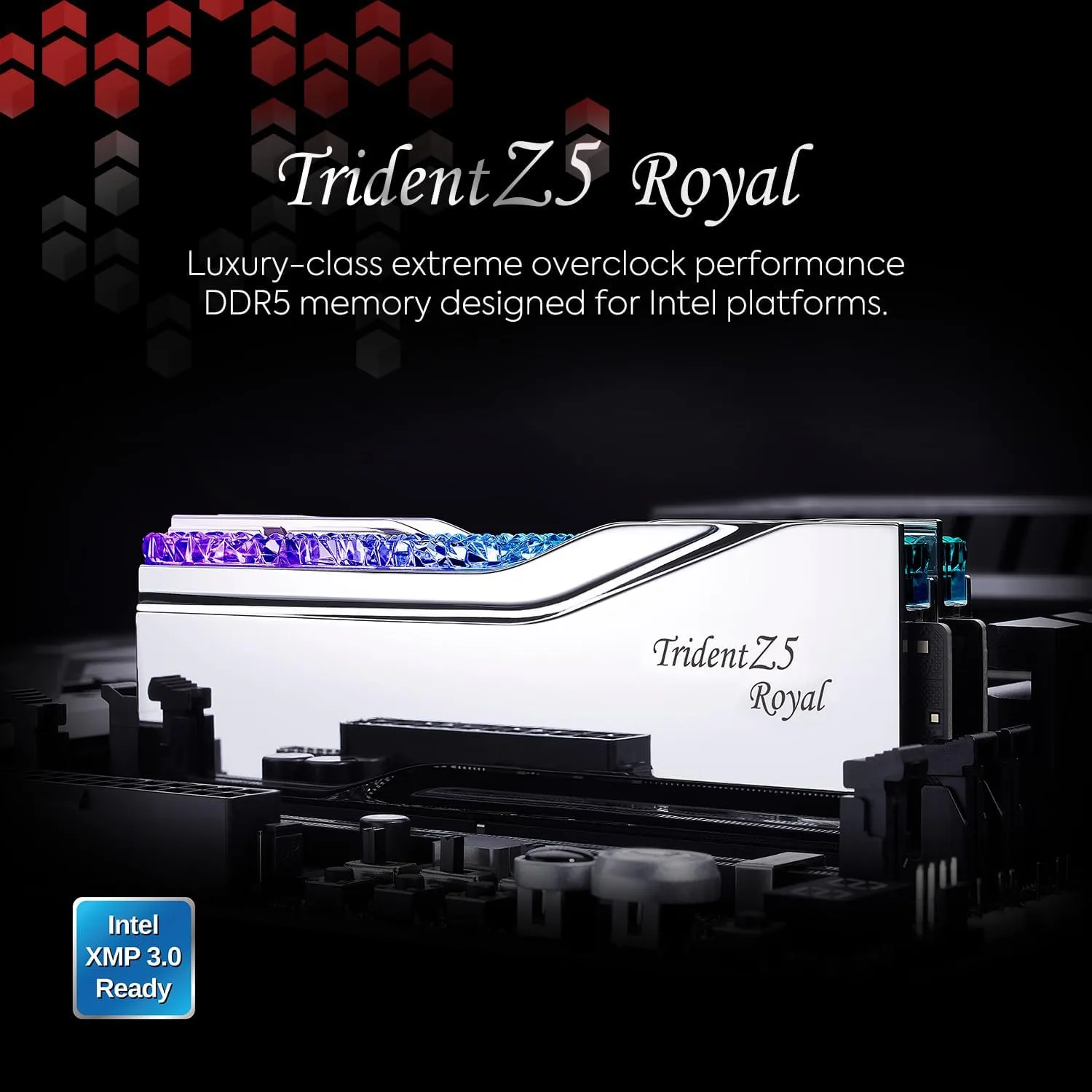 G.SKILL Trident Z5 Royal Series (Intel XMP 3.0) DDR5 RAM 32GB (2x16GB) 6400MT/s CL30-39-39-102 1.40V Desktop Computer Memory UDIMM - Silver (F5-6400J3039G16GX2-TR5S)
