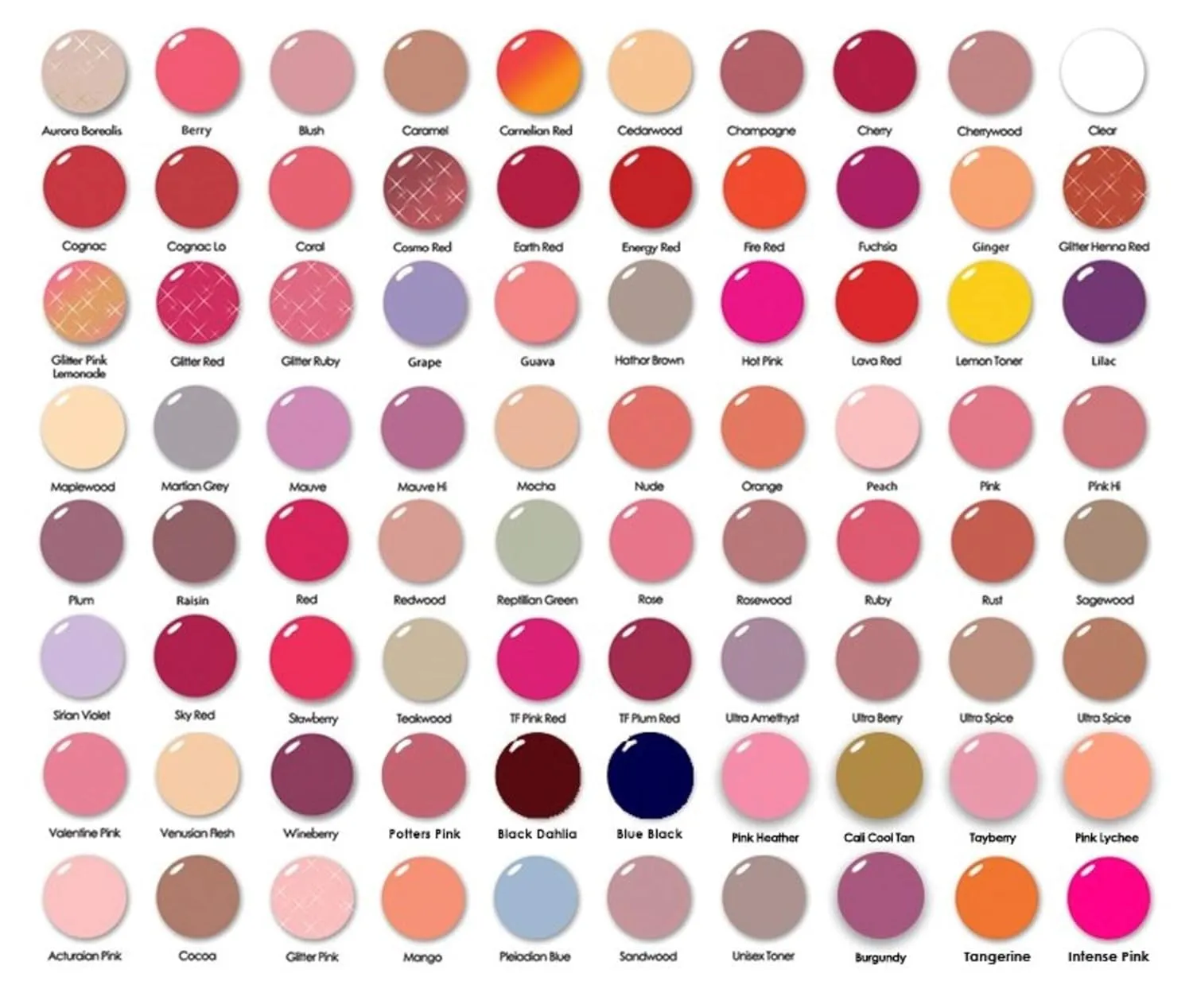 Lip Ink Liquid Trial Lip Kit - Champagne (Berry) | Natural & Organic Makeup for Women International | 100% Organic, Kosher, & Vegan