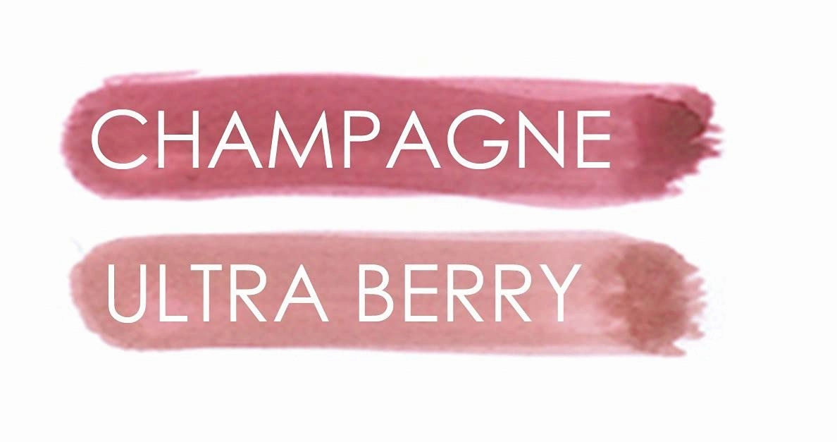 Lip Ink Organic Vegan 100% Smearproof Lip Stain Sampler Kit (Champagne & Ultra Berry)