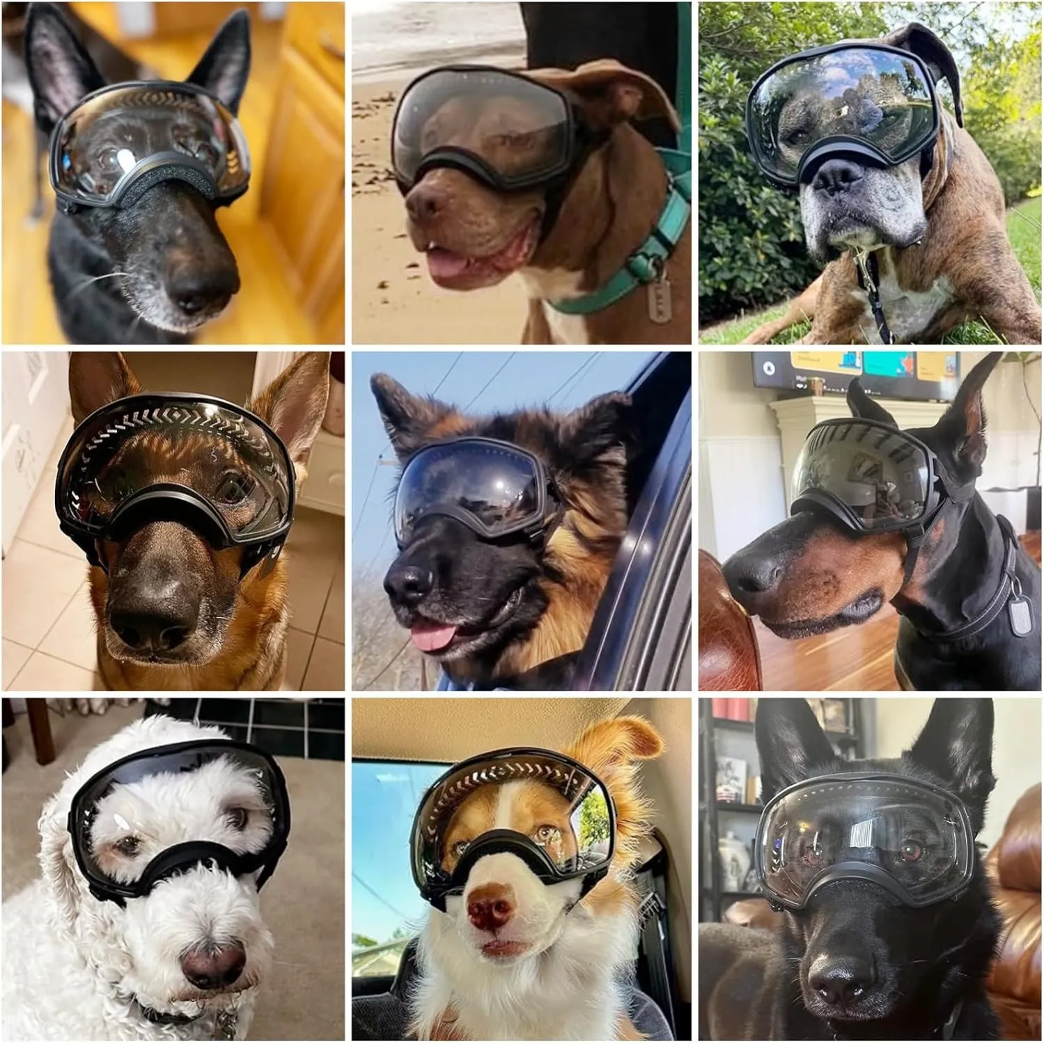 NAMSAN Dog Goggles for Large Dogs, Clear Lenses, Dog Sunglasses Medium to Large Breed, Anti-UV Doggie Eye Protection, Adjustable Driving Glasses, Windproof Dustproof, Black