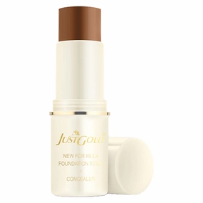 New Formula Foundation Stick   Concealer Lightweight Full Coverage Foundation With Natural and Dewy Finish For Face Makeup (08)