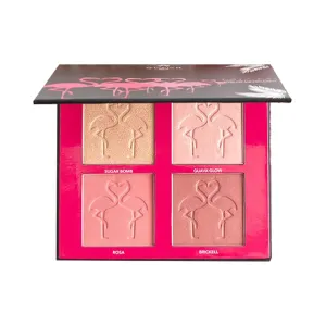 Shaina B. Miami Blush and Highlight Mini Palette,6.5 Inch
