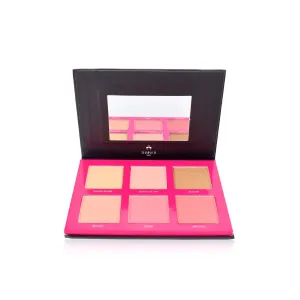 Shaina B. Miami Blush and Highlight Palette