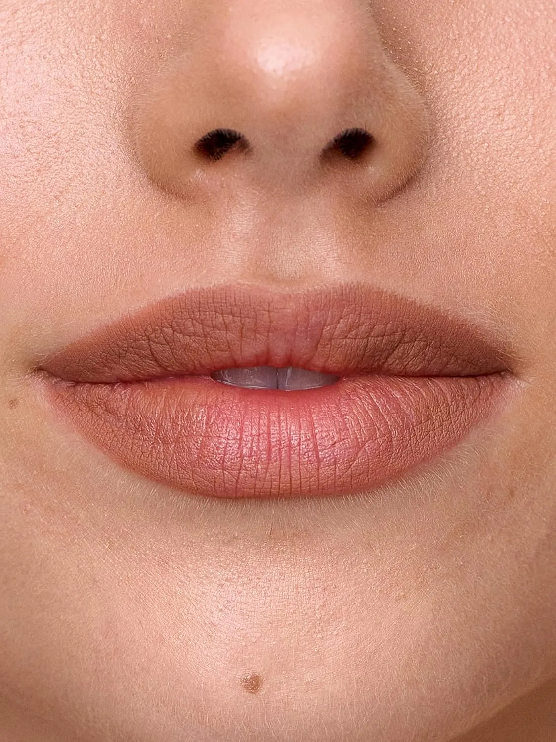 Sweed - Lip Liner Pencil | Color-Rich, Smudge   Feathering-Free | Jojoba Seed Oil to Moisturize   Nourish | Vegan, Cruelty-Free, Clean Beauty (Cindy)