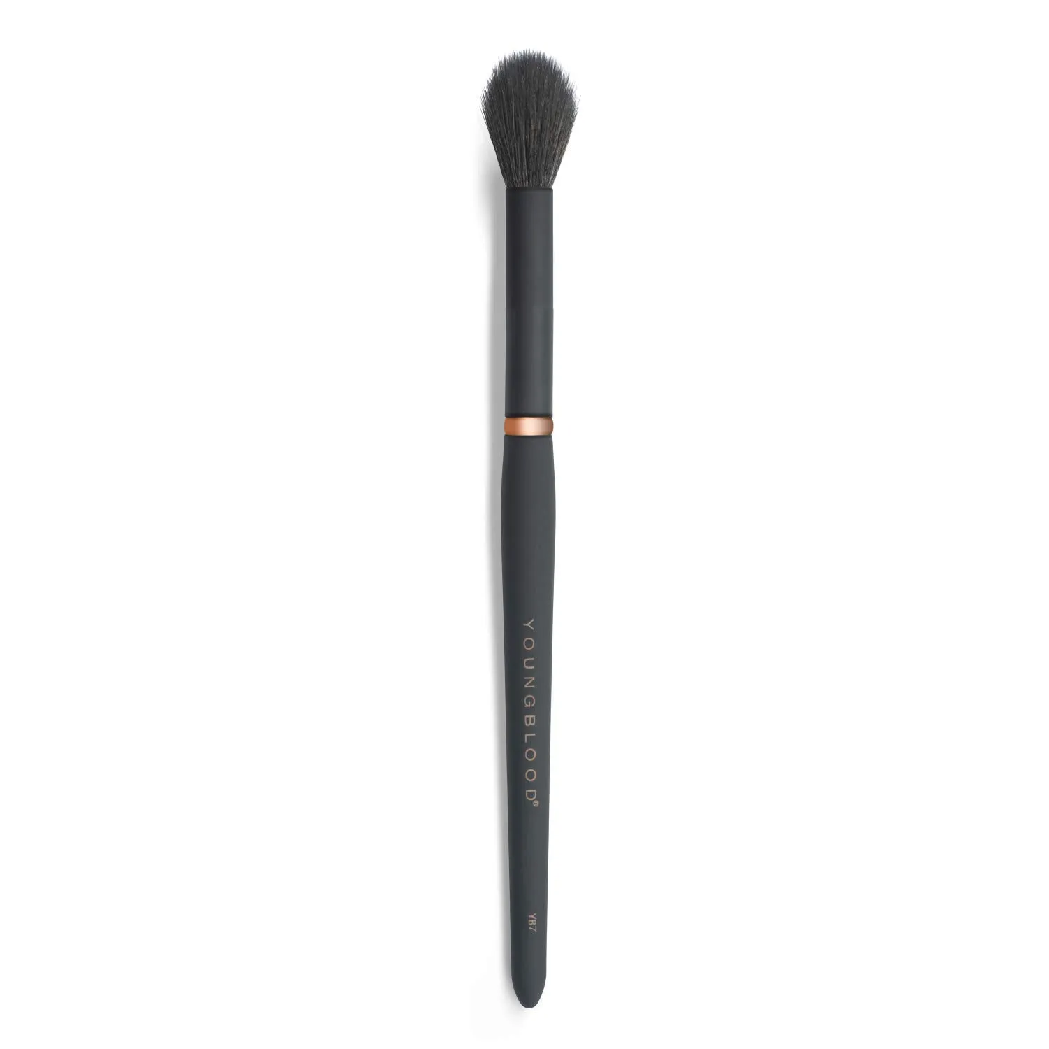 Youngblood Clean Luxury Cosmetics Luxe Foundation and Face Brushes | Liquid, Powder Foundation Brush Concealer Brush Highlight and Contour Brush | Vegan, Cruelty-Free (YB7 Highlight)